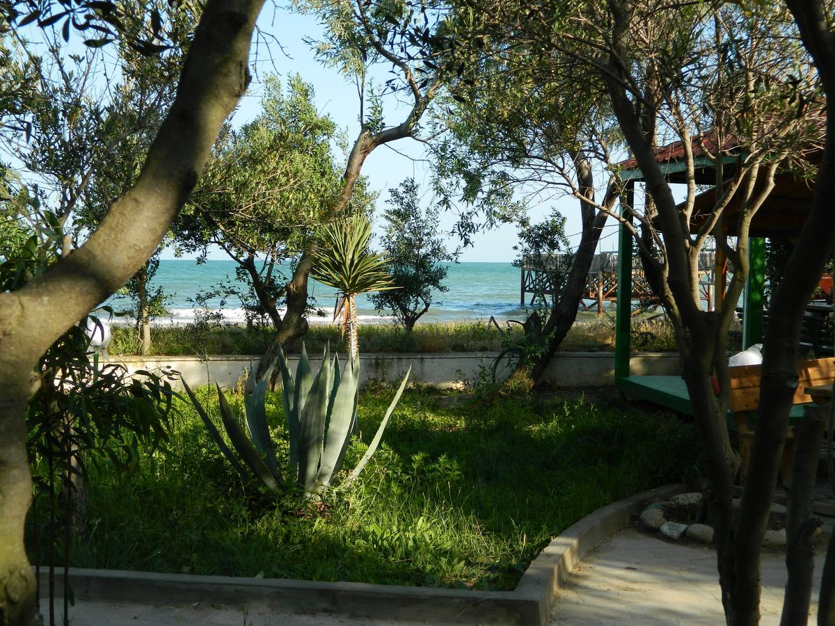 Mavi Dalga Beach Hotel バクー エクステリア 写真