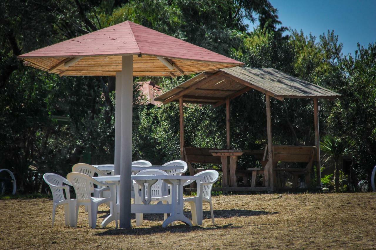 Mavi Dalga Beach Hotel バクー エクステリア 写真