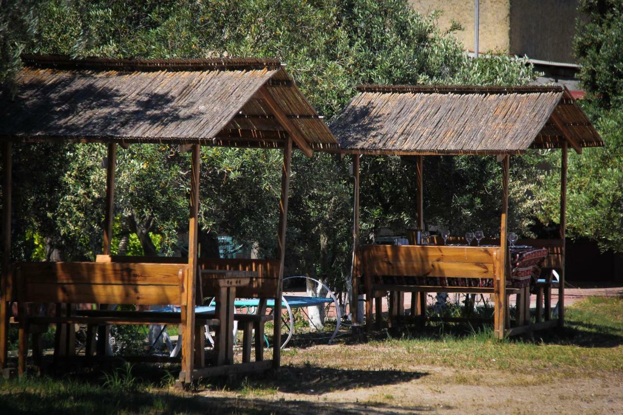 Mavi Dalga Beach Hotel バクー エクステリア 写真